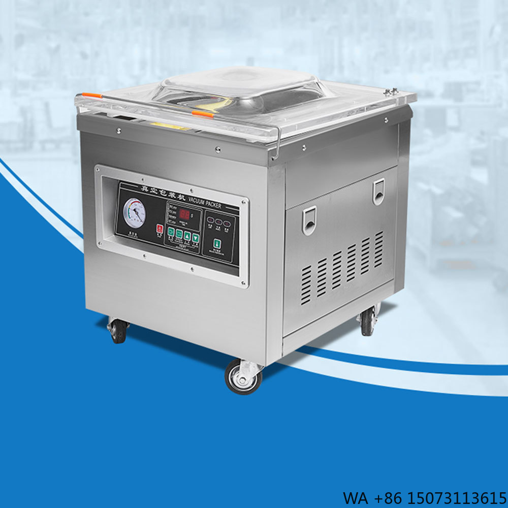 Vacuum Sealer - Dz-400 Profesyonel Masaüstü Vakum Paketleme Makinesi
